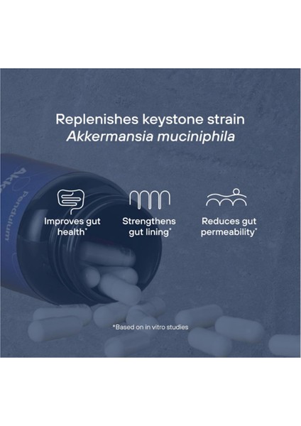 Akkermansia Probiotic With Prebiotic Fiber - Increases Glp-1 Production, Delayed Release, Third-Party Tested, 100M Afu Live Strain For Gut Health 30 Capsul indirimleri