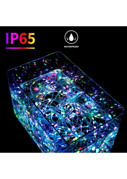 Yılbaşı Ağacı Işığı Noel Işığı Renkli LED Işık IP65 10 Metre USB Kum. + Cep Kontrol Dış Mekan Işığı fırsatları