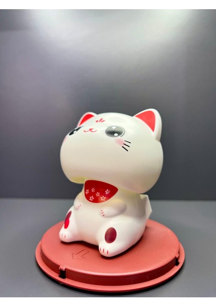 Güneş Paneli Enerjili Sürekli Hareket Eden Kafa Sallayan Dekoratif Sevimli Kedi modelleri