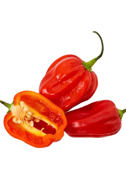 Kırmızı Jamaika Acı Biber Tohumu Red Scotch Bonnet Jamaican