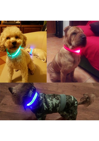 Beyaz Stil 41-52CM Köpekler Için LED Işık Yansıtıcı Gece Güvenlik Gece Işıklı Köpek Tasma Köpekler Luminöz Parlayan Yansıtıcı Tasma Yaka Perro. (Yurt Dışından) fiyatları
