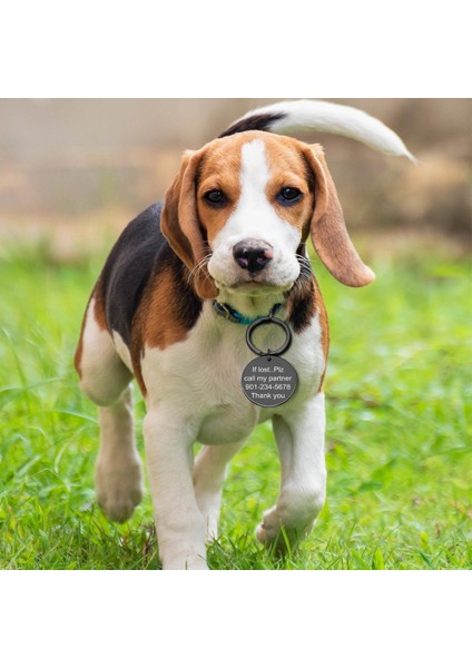 Çiçek-Altın Tarzı 20MM Özel Isim Adres Etiketi Pet Köpek Etiketi Kedi Tasma Aksesuarı Süsleme Pet Kimlik Köpek Etiketi Yaka Paslanmaz Çelik Kedi Etiketi (Yurt Dışından) indirimleri