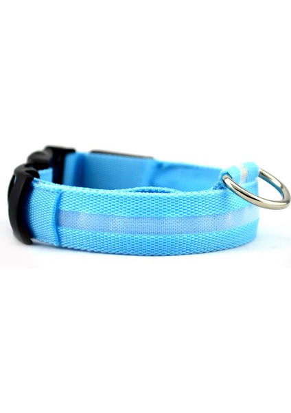 Mavi Stil 37-46CM Köpekler Için LED Işık Yansıtıcı Gece Güvenlik Gece Işıklı Köpek Tasma Köpekler Luminöz Parlayan Yansıtıcı Tasma Yaka Perro. (Yurt Dışından)