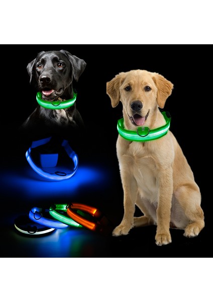 Sarı Stil S Beden Evcil Hayvan Malzemeleri LED Evcil Köpek Kedi Tasma, Gece Güvenlik Işıldayan Kedi Tasma, Küçük Köpekler Parlak Ayarlanabilir Tasma (Yurt Dışından)