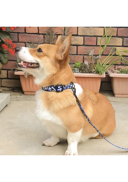 No.1 Tarzı Xs Beden Köpek Tasma Ayarlanabilir Boyut Pet Kedi Köpek Tasma Küçük Orta Büyük Köpek Patlama Geçirmez Şirin Kolye Tasma (Yurt Dışından)