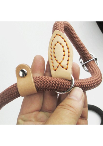 Kırmızı Stil 0.8CMX150CM Kayışlı Köpek Tasma Yürüyüş Kayışı Naylon Kayış Büyük Köpek Dağcılık Halatı Çekiş Küçük Orta Büyük Köpekler Için (Yurt Dışından) fırsatları