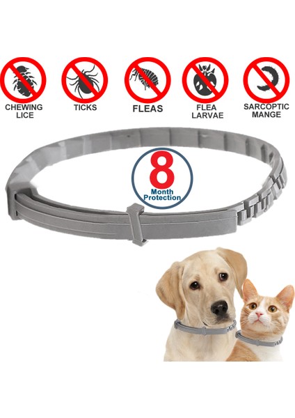 Opp Çanta Stili ile Köpek S 38CM 70CM Geri Çekilebilir Kedi Köpek Tasma Kene Pire Karşıtı Sivrisinek Kovucu Kedi Köpek Pet Ürünleri Için Kedi Köpek Ürünleri (Yurt Dışından) fiyatları