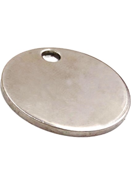 Gümüş Tarzı Çap 2cm Kedi Köpek Kimlik Etiketi Kişiselleştirilmiş Köpek Tasma Pet Şansı Isim Kolye Kolye Yavru Aksesuarı (Yurt Dışından)