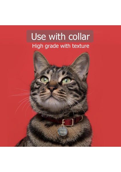 Gümüş Tarzı Çap 2cm Kedi Köpek Kimlik Etiketi Kişiselleştirilmiş Köpek Tasma Pet Şansı Isim Kolye Kolye Yavru Aksesuarı (Yurt Dışından) modelleri