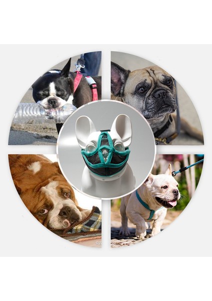 Siyah Stil S Beden Kısa Boş Burunlu Evcil Köpek Muzzle Ayarlanabilir Fransız Bulldog Muzzle Köpek Ağız Maskesi Renkli Nefes Alabilir Muzzle Anti Havlama Için. (Yurt Dışından) modelleri