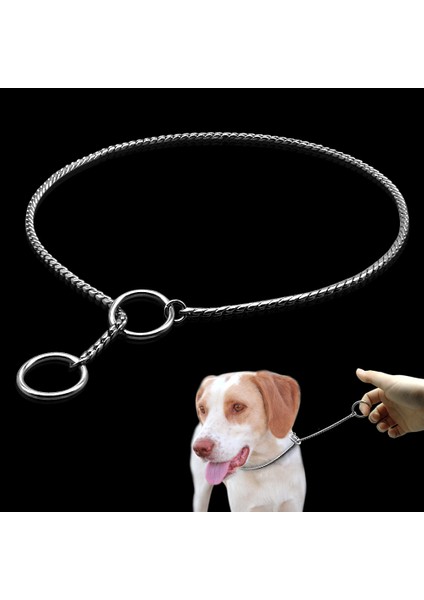 Beyaz Stil M Beden Köpek Eğitim Tasmaları Yılan Desenli P Kayışlık Boğaz Tasma Metal Zincir Boyutlar Xs S M Büyük Xl Köpekler Için (Yurt Dışından) fiyatları