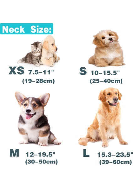Mavi Yakalı Stil Xs Beden Köpek Etiketi Tasma Kişiselleştirilmiş Özel Naylon Tasma Kazınmış Isim Kimlik Etiketleri Tasma Ayarlanabilir Orta Boy Pet Yavru Kedi Büyük Köpekler Için (Yurt Dışından)