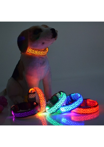 Yeşil Stil M Beden Leopar LED Köpek Tasma Aydınlatmalı Ayarlanabilir Parlayan Tasma Köpekler Için Evcil Hayvan Gece Güvenlik Naylon Tasma Aydınlatmalı LED Parlak Köpek Tasma (Yurt Dışından)