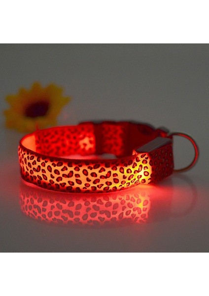 Yeşil Stil M Beden Leopar LED Köpek Tasma Aydınlatmalı Ayarlanabilir Parlayan Tasma Köpekler Için Evcil Hayvan Gece Güvenlik Naylon Tasma Aydınlatmalı LED Parlak Köpek Tasma (Yurt Dışından)