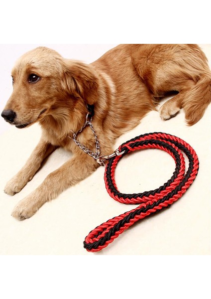 Ordu Yeşili Tarzı S Beden El Yapımı Iki Katlı Halat Büyük Köpek Tasma ve Kayış Seti Metal P Zincir Tokalı Eğitim Ipi Inek Halatı Köpek Aksesuarları (Yurt Dışından) modelleri
