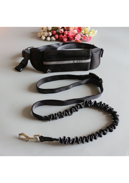 Yeşil Stil 130CM Yansıtıcı Çekiş Ipi Çekiş Ipi Evcil Hayvan Köpek Koşu Kemeri Elastik Eller Serbest Koşu Çekiş Ipi Bel Çekiş Ipi (Yurt Dışından) fırsatları