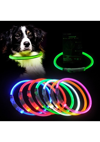 Turuncu Tarzı L Beden USB Şarj Edilebilir Pet Köpek Tasması Ayarlanabilir LED Tüp Flaşör Gece Köpek Tasması Parlayan Lüminesans Güvenlik Evcil Hayvanlar Tasması (Yurt Dışından)