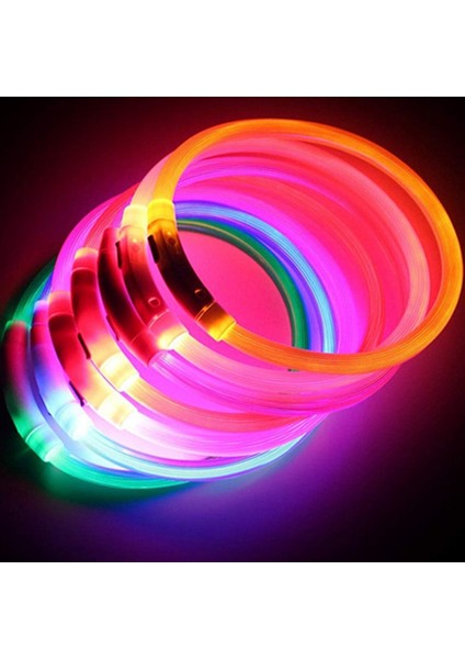 Turuncu Tarzı L Beden USB Şarj Edilebilir Pet Köpek Tasması Ayarlanabilir LED Tüp Flaşör Gece Köpek Tasması Parlayan Lüminesans Güvenlik Evcil Hayvanlar Tasması (Yurt Dışından)