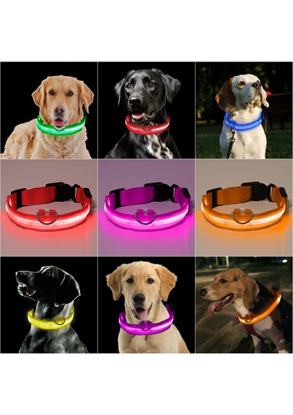 Pembe Tarzı Xl Beden Evcil Hayvan Malzemeleri LED Evcil Köpek Kedi Tasma, Gece Güvenlik Işıldayan Kedi Tasma, Küçük Köpekler Parlak Ayarlanabilir Tasma (Yurt Dışından) indirimleri