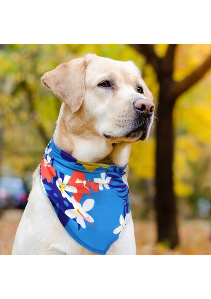 No.2 Tarzı Bedensiz Şirin Köpek Bandana Atkı Yazılı Pet Bandana Tüyler Için Küçük Orta Köpekler Pamuk Yıkanabilir Köpek Aksesuarları (Yurt Dışından) indirimleri