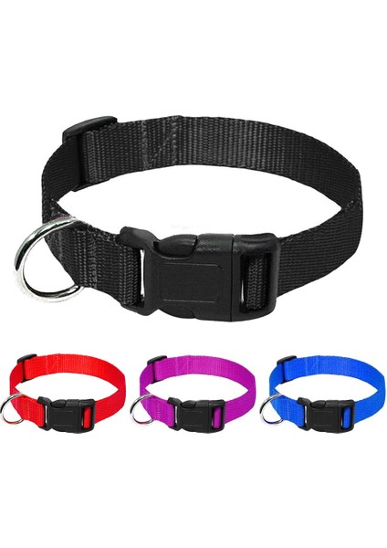 Mor Tarzı S Beden Köpek Tasmaları Premium Naylon Evcil Kedi Köpek Tasma Ayarlanabilir Köpek Tasmaları Chihuahua Fransız Bulldog Pitbull Labrador Pet Ürünleri (Yurt Dışından)
