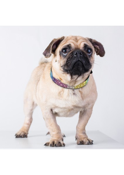 012 Pembe Stil Xs Beden Bling Kristal Köpek Tasma Deri Köpekler Kedi Tasma Yaka Küçük Köpekler Yavru Kedi Kolye Chihuahua Yorkshire Pug Beagle (Yurt Dışından) indirimleri