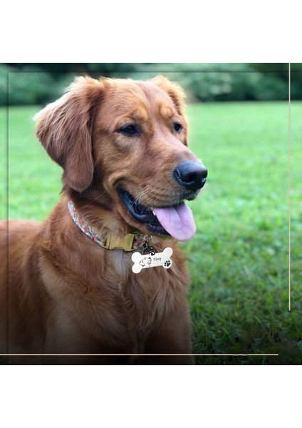 Kimlik Etiketi 23 Stili Büyük Ücretsiz Özel Kişiselleştirilmiş Pet Kimlik Etiketi Kazınmış Pet Kimlik Ismi Kedi Yavru Köpek Tasma Etiketi Pet Kaybolmaz Isim Plakası Fransız Bulldog (Yurt Dışından) indirimleri