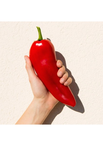 Big Jim Biber Tohumu Orta Acı fırsatları