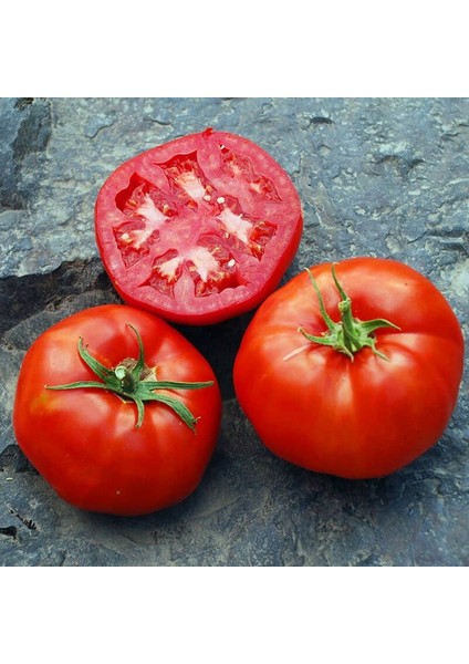 Rutger Domates Tohumu Geleneksel Rutgers Tomato Seeds