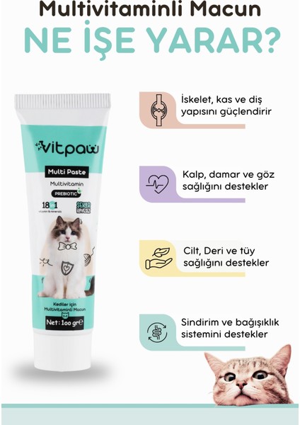 Multi Paste 100 Gr.(KEDİLER İÇİN BAĞIŞIKLIK GÜCLENDİRİCİ VE TÜY YUMAĞI ÖNLEYİCİ MULTİVİTAMİN) Kedi Vitamin