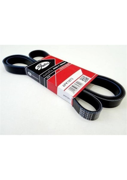 Chevrolet Lacetti 1.4 / 1.6 Benzinli V Kayışı