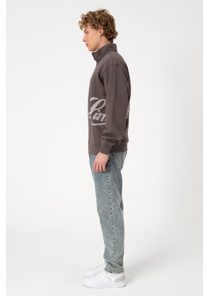 Sw Yarım Fermuar Füme Işlemeli Şardonlu Sweatshirt modelleri