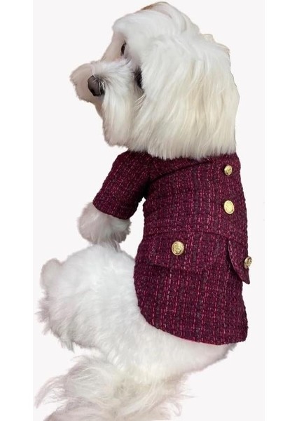 Bordo Tüvit Küçük Irk Köpek Ceketi fiyatları