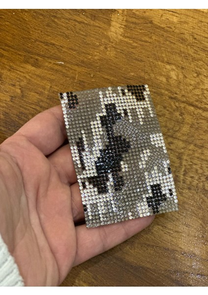 8x5 cm Ütü Ile Yapışan Leopar Plaka Arma Dikiş Aplike Kesilebilir modelleri