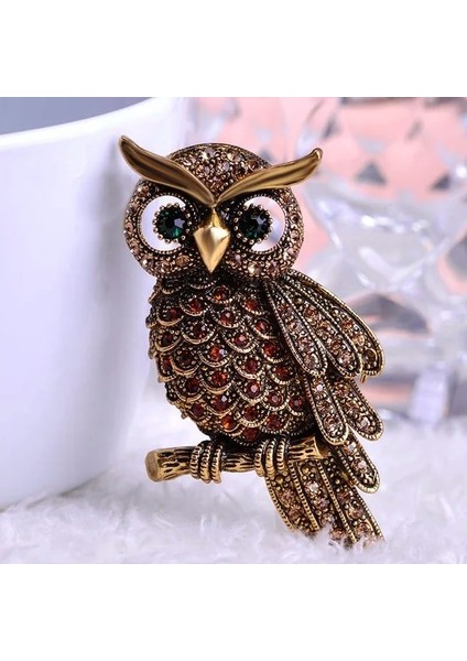 Kahverengi Blucome Vintage Baykuş Broş Korsaj Eşarp Klip Kristal Papağanlar Broş Yaka Pin Broches Takı Kadın Bayan Kazak Şapka Tokaları (Yurt Dışından)