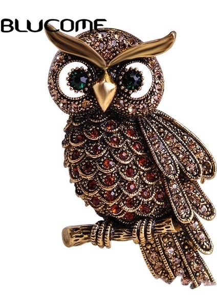 Kahverengi Blucome Vintage Baykuş Broş Korsaj Eşarp Klip Kristal Papağanlar Broş Yaka Pin Broches Takı Kadın Bayan Kazak Şapka Tokaları (Yurt Dışından) fiyatları