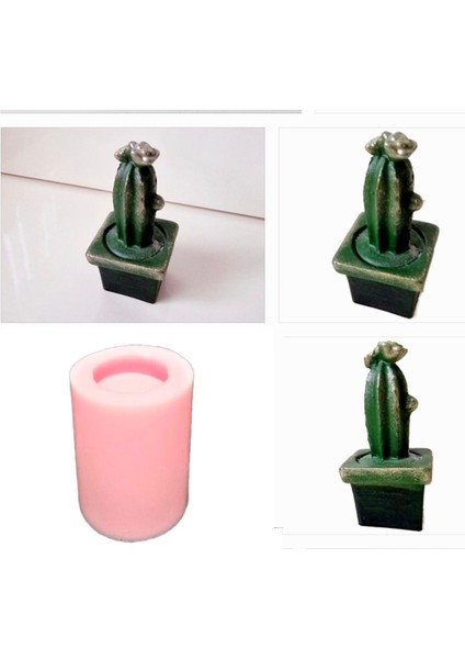 Kare Saksıda 3 Boyutlu 10,8 cm Çiçekli Kaktüs Silikon Kalıp K-1386