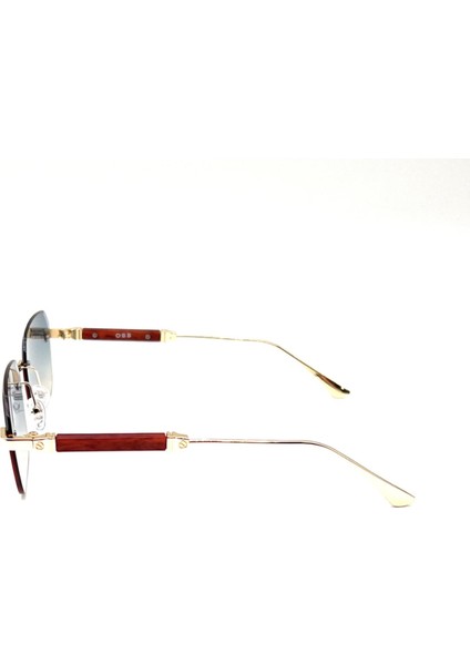 Obb 7286 C3M Unisex Güneş Gözlüğü modelleri