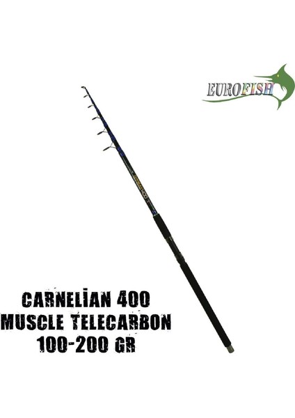 Eurofısh Carnellian Surf Olta Kamışı 400CM 100-200GR fiyatları