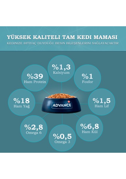 Kitten Tavuk Etli Yavru Kedi Maması 1,5 Kg