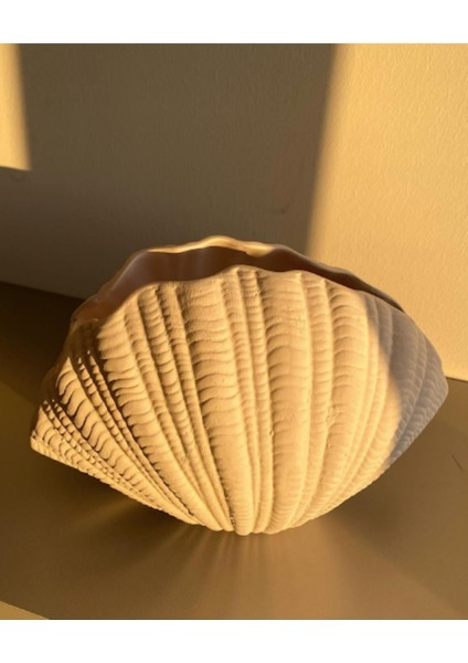 Dekoratif Midye Istiridye Seramik Vazo fiyatları