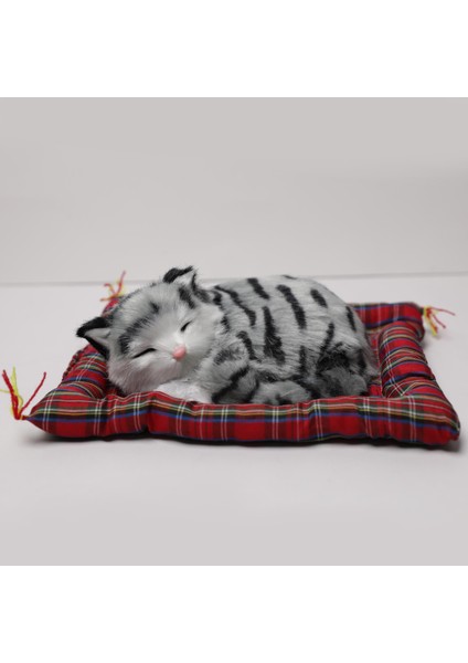 Minderde Yatan Sevimli Gri Kedi