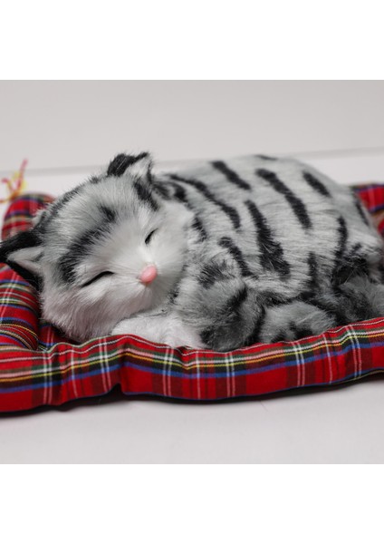 Minderde Yatan Sevimli Gri Kedi fiyatları