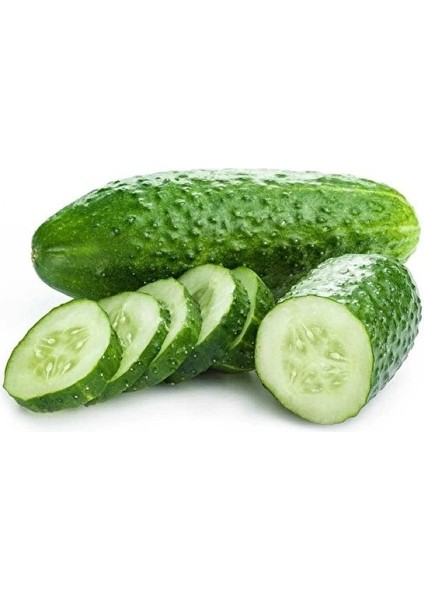 Salatalık Kornişon ( Çoklu Tohum ) - 3 Gram