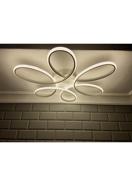 EA3013 Plafonyer Modern LED Avize, Beyaz Gövde, 3 Renkli Işık