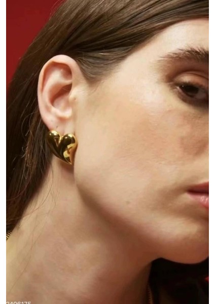 Kadın Özel Tasarım Kalp Küpe ZYN18 fiyatları