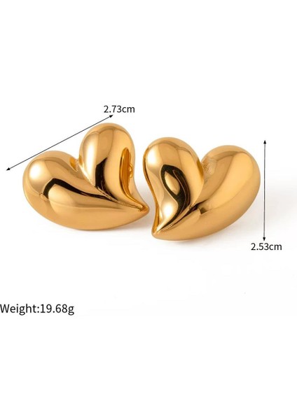 Kadın Özel Tasarım Kalp Küpe ZYN18 modelleri