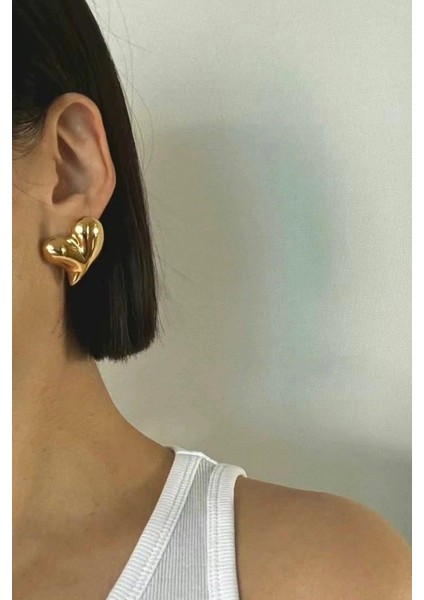 Kadın Özel Tasarım Kalp Küpe ZYN18 fırsatları