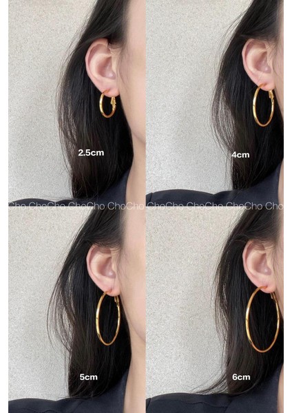 Kadın 316 L Çelik 3 cm Halka Küpe fiyatları