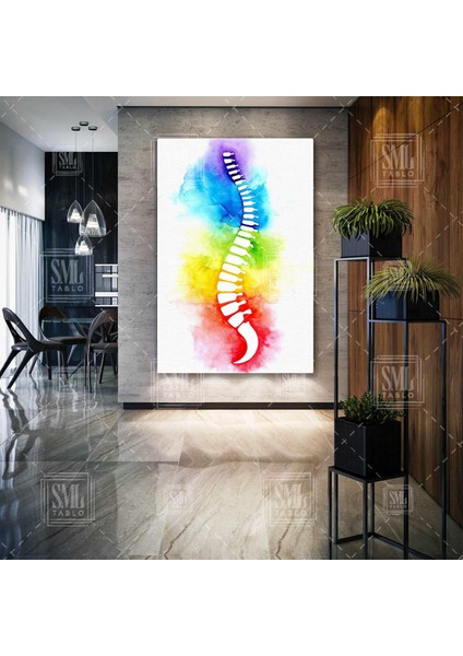 Sulu Boya Omurga Ilüstrasyonu Fizyoterapi Beyin ve Sinir Cerrahisi Dikey Kanvas Tablo